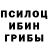 Галлюциногенные грибы мицелий Cyrulnik