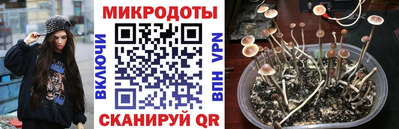 Псилоцибиновые грибы Magic Shrooms  Купить где  Кирс 